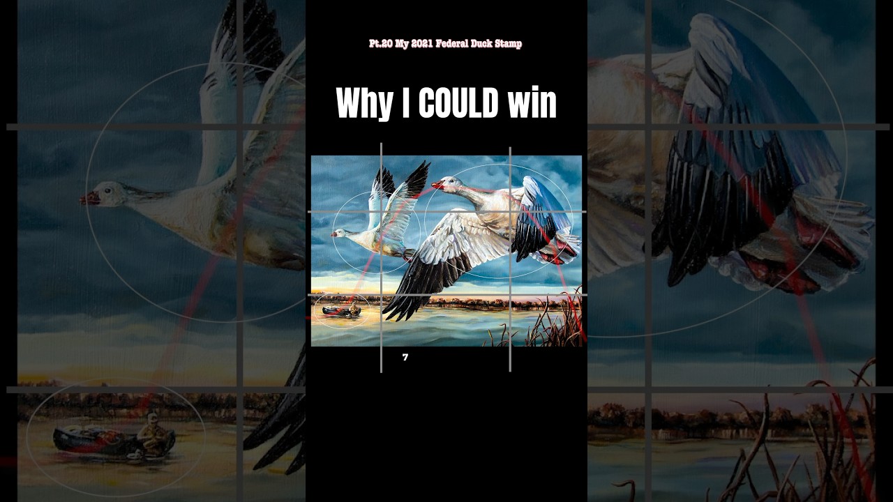 Pt.20 critiquing my 2021 Ross&rsquo;s Geese #duckstamp #artcontest