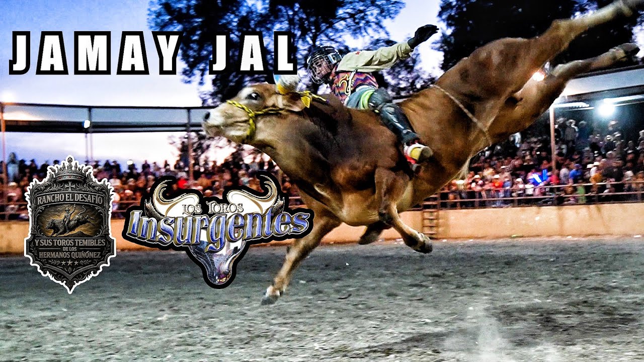 ¡GANADERIAS QUE VAN SUBIENDO DE NIVEL! RANCHO LOS INSURGENTES, EL DESAFIO Y GARDENIAS EN JAMAY 2026