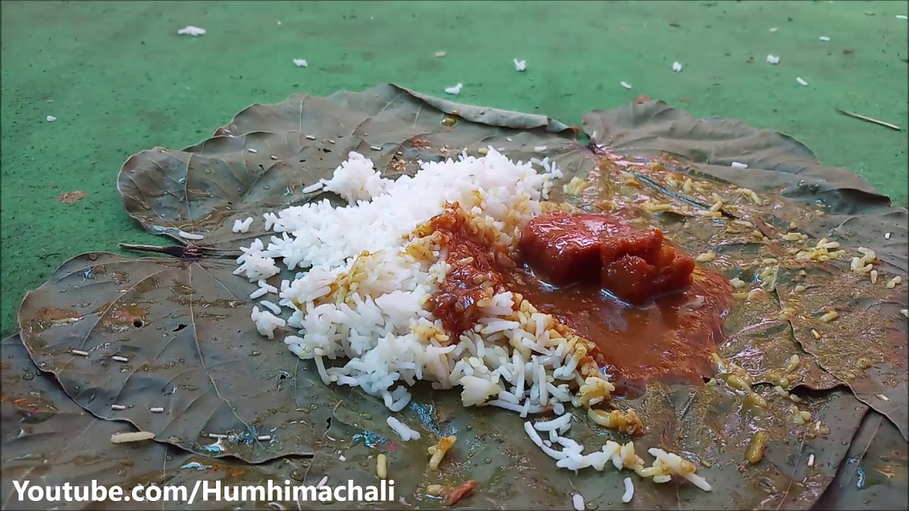 इस वीडियो में देखें कैसे हिमाचली कांगड़ी धाम परोसी और खाई जाती है - Himachali Dham - Kangri Dhaam