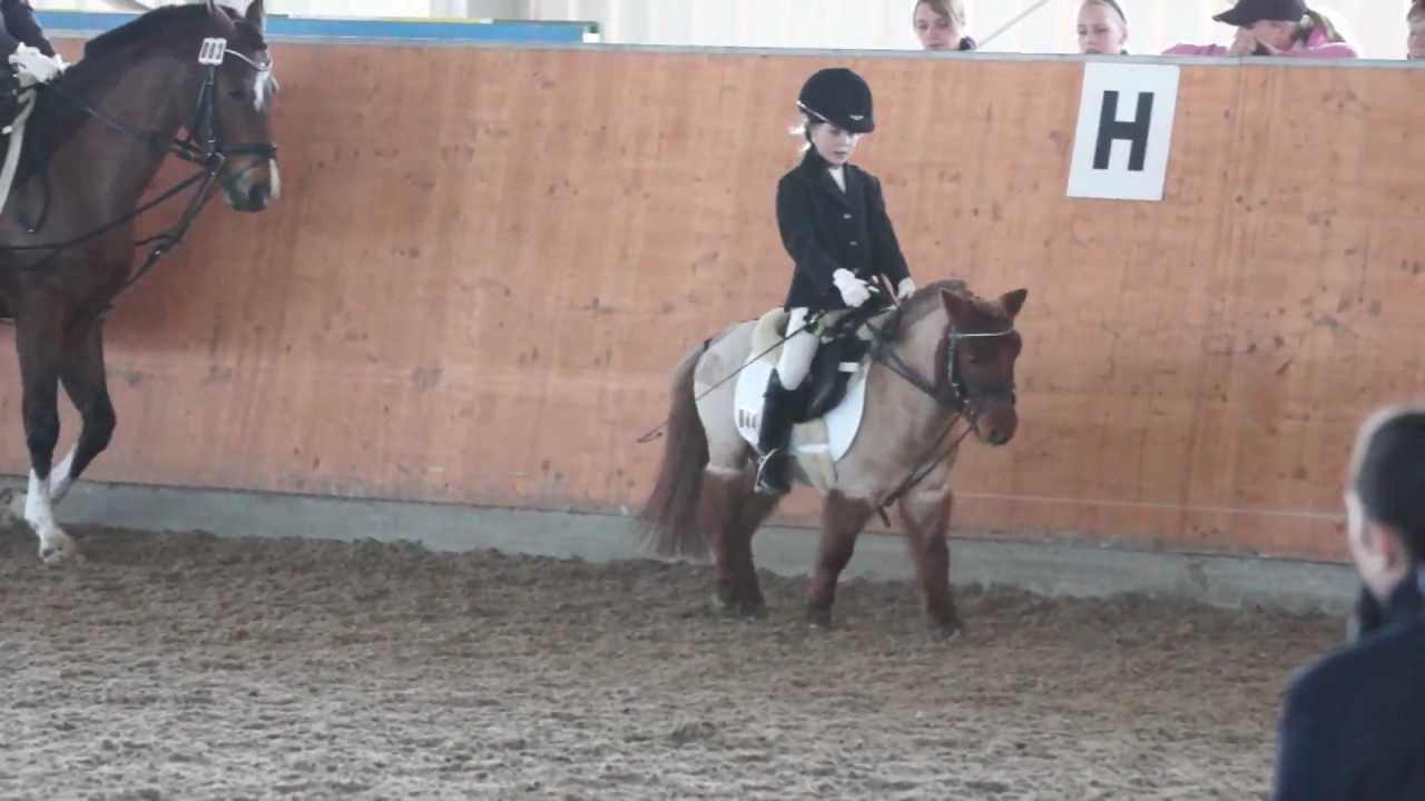 Shetty beim Dressurwettbewerb