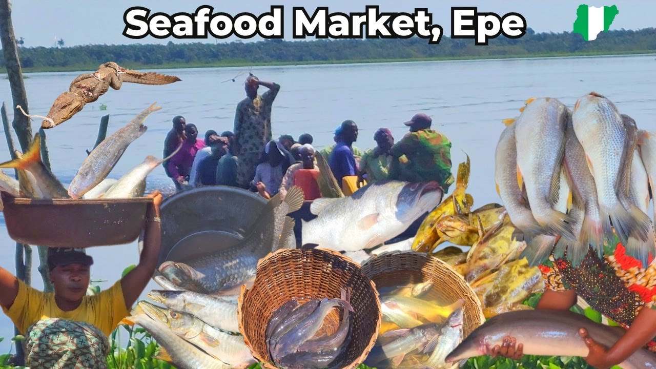 UPDATED: Cheap Market: Epe Seafood Market in Lagos, Nigeria | Fish & Bush Meat Market |Rural Village