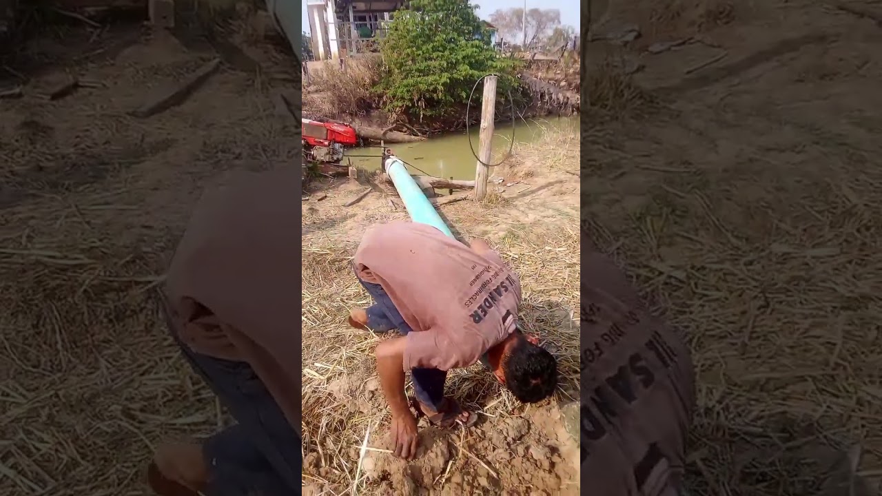 បូមត្រី