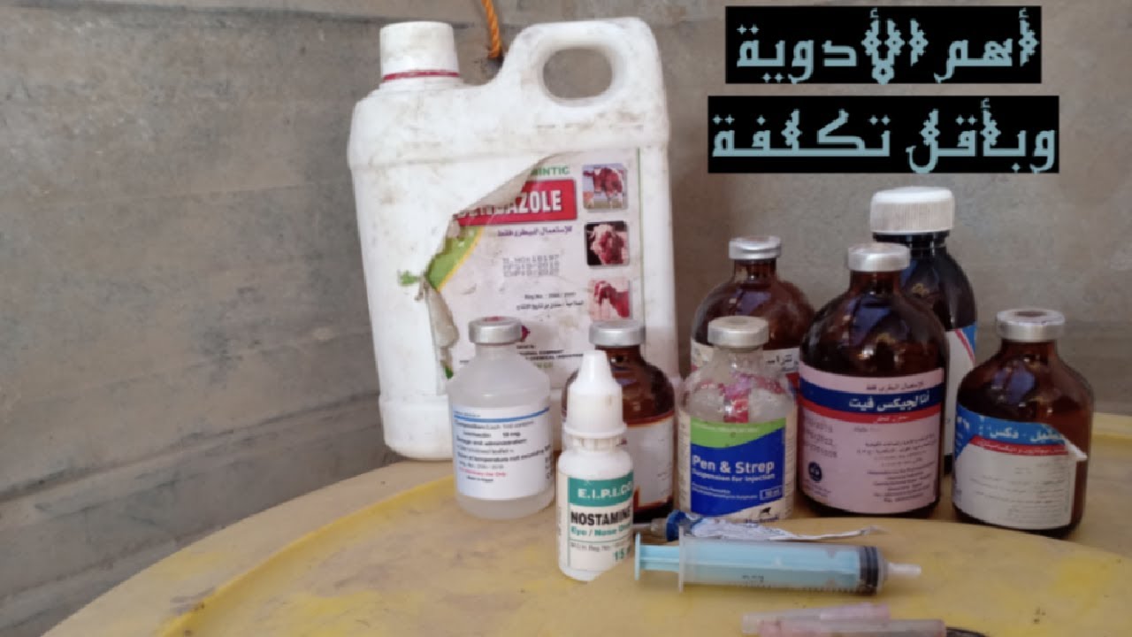 أهم الأدوية الأساسية التى يجب توافرها لدى مربى الأغنام (بأقل تكلفة)