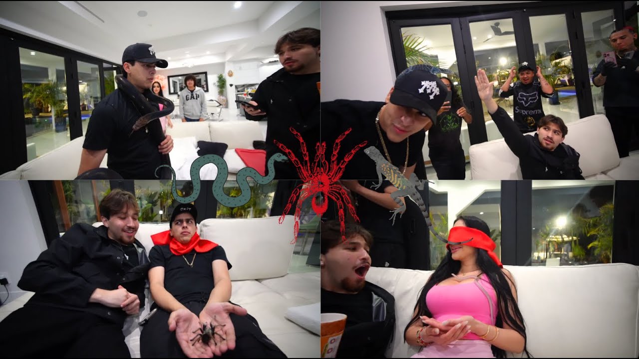 Wilito le lleva esta sorpresa a Lonche FT. JailynOjeda🦎🕷️🐍🔥