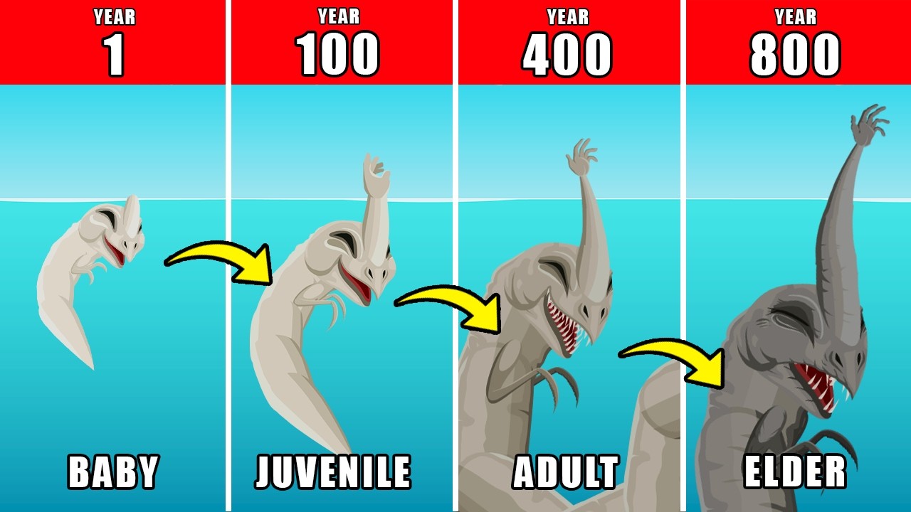 800 Years of The Sea Hand Monster Life Documentary: How The Sea Hand Monster Might Have Lived