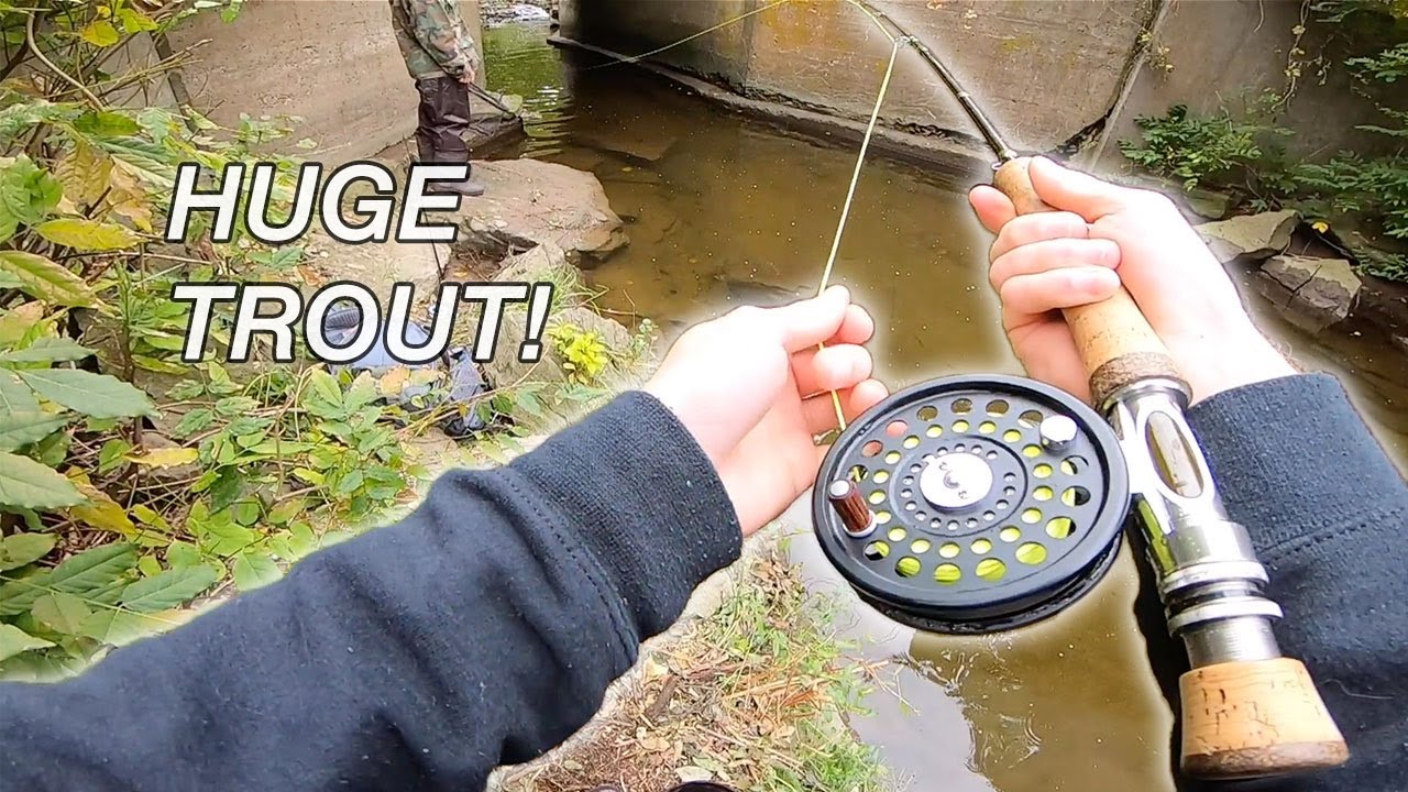 FLY FISHING for STEELHEAD TROUT // 1080p