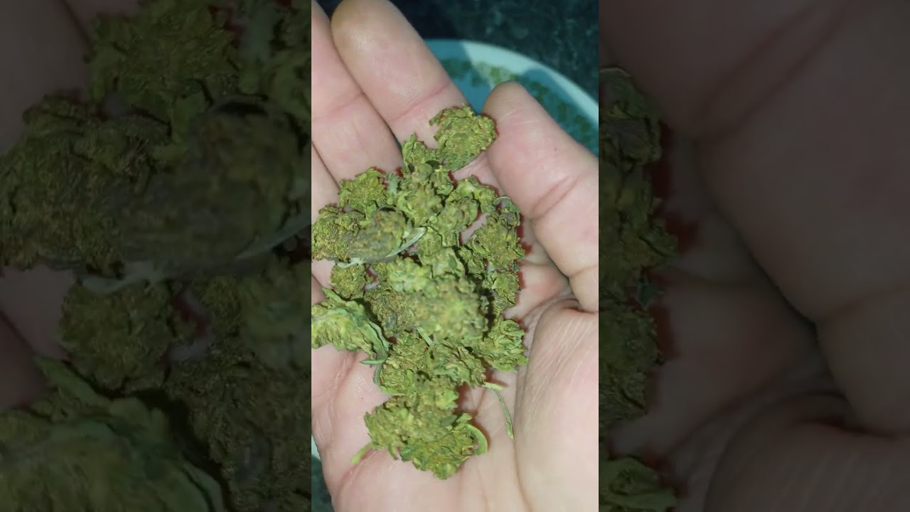 Arete Hemp, Lemon Skunk, CBD/THCA, budget hemp flower (is it good?)