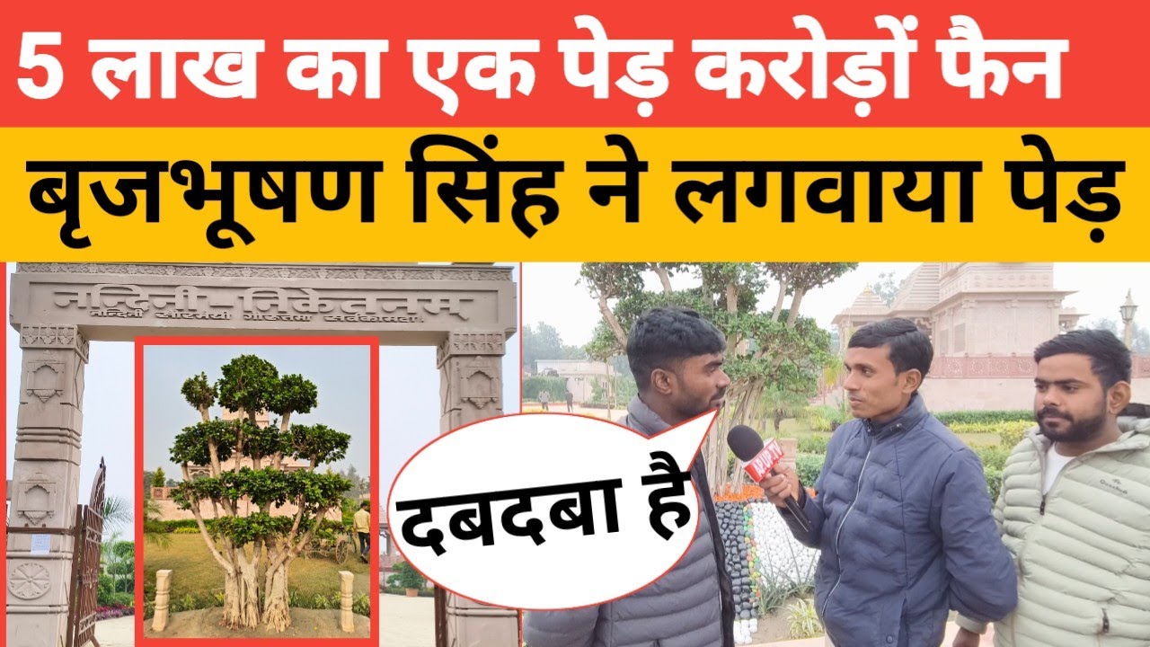 नंदिनी नगर में राष्ट्र कथा से पहले बृजभूषण सिंह ने लगवाया 5 लाख रुपए का एक पेड़ लोग पहुंच रहे देखने।