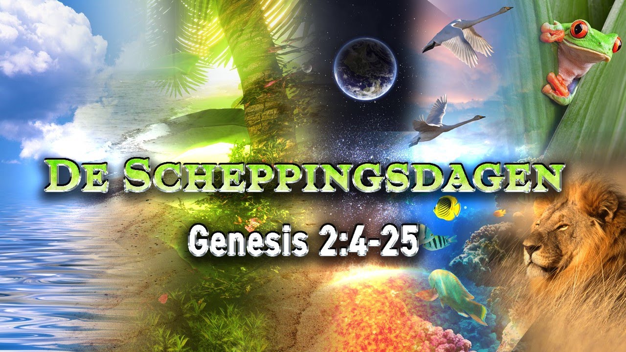 Van Schepping tot Abraham - Studie 02: De zeven scheppingsdagen