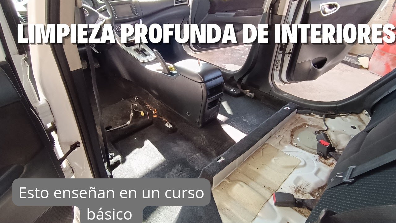 limpieza profunda de interiores