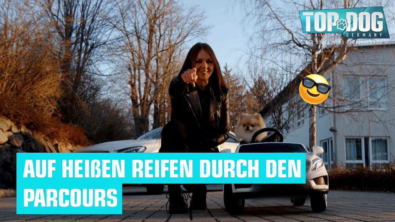 Glitzer, Glamour und Sport: Marina und Baki im Parcours ✨ | Top Dog Germany 2022
