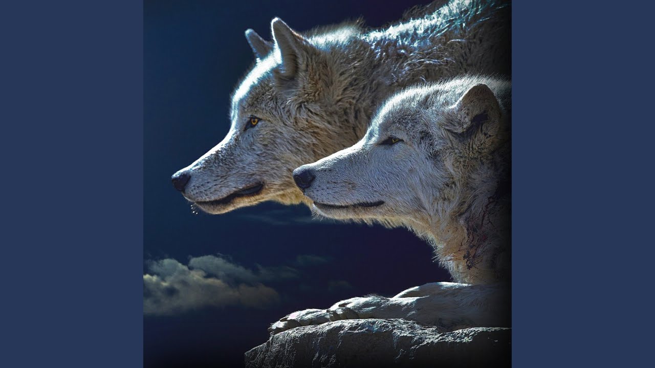 Wolf Sounds