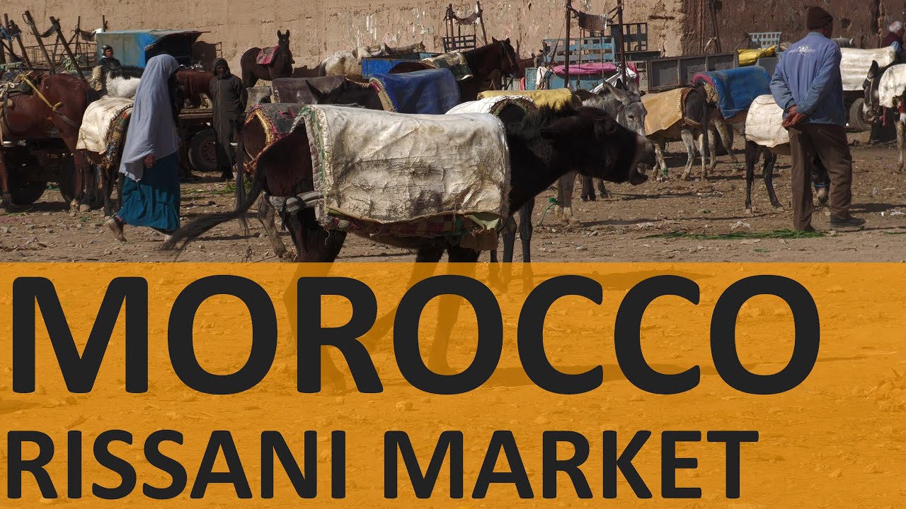 Marokko 2025 - Aflevering 08 - Markt van Rissani