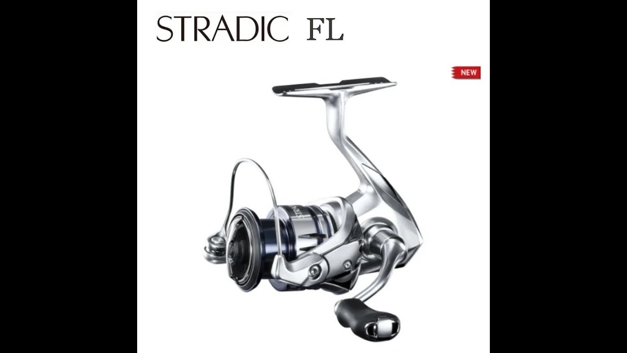 SHIMANO STRADIC FL 1000 C2000S 2500 2500HG C3000 C3000HG 4000 4000MHG