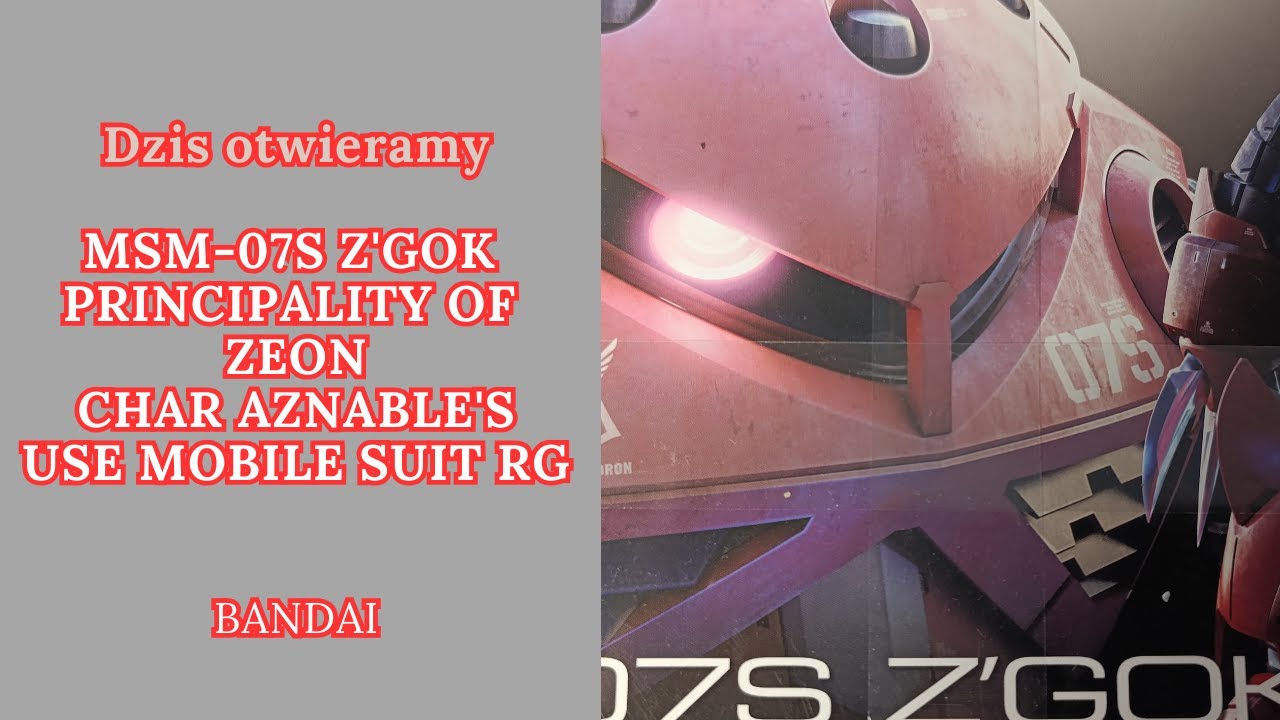 MSM 07S Z'GOK PRINCIPALITY OF ZEON CHAR AZNABLE'S USE MOBILE SUIT RG