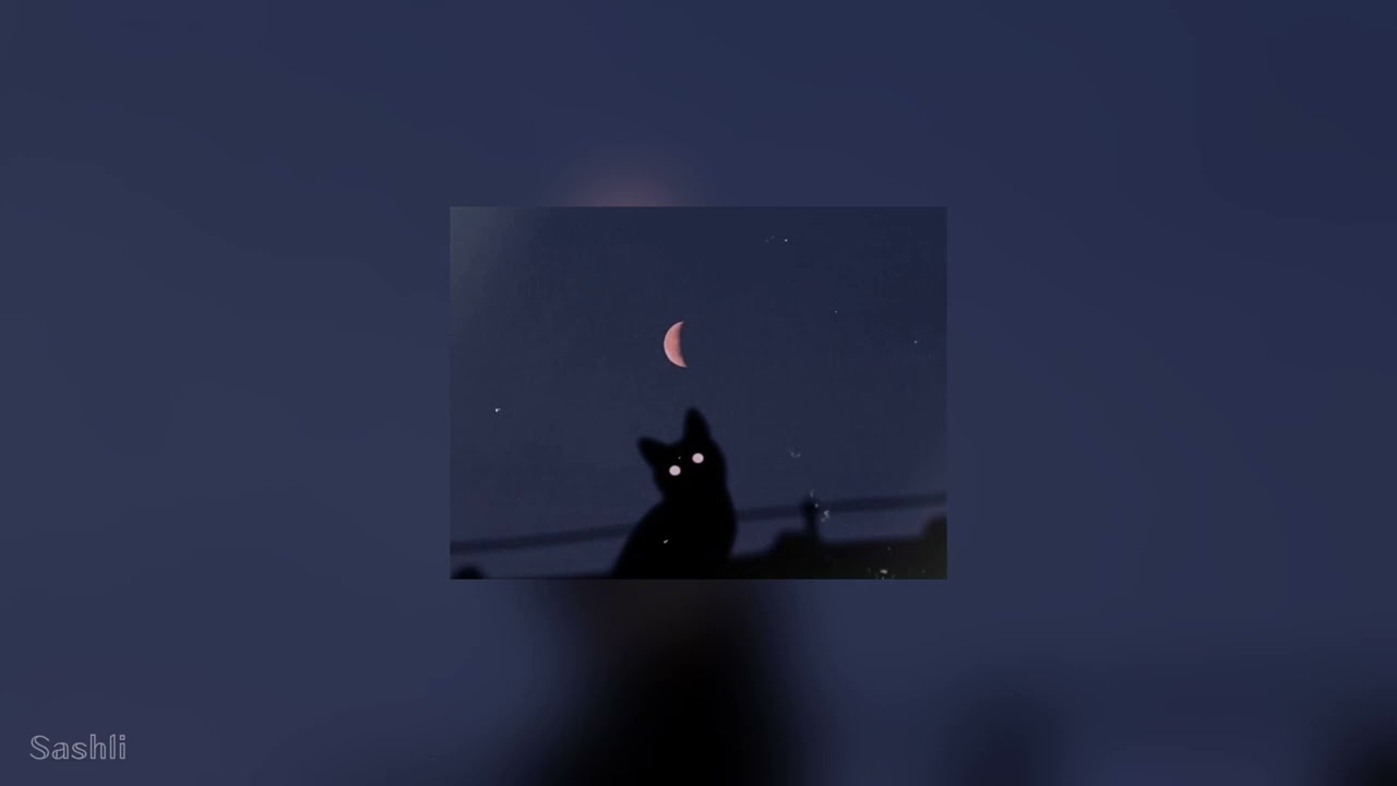 𓃠Мария Ржевская - Когда я стану кошкой𓃠 {Slover reverb} 𝕊𝕒𝕤𝕙𝕝𝕚
