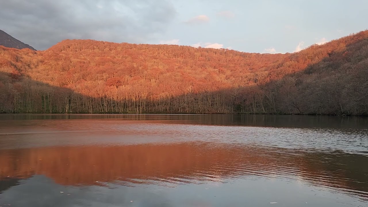 蔦沼朝燒20221113