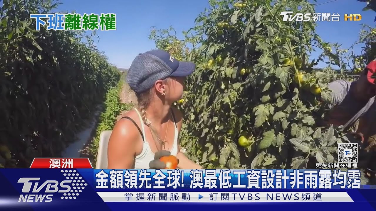 赴澳工作為何香? 最低工資海放全球 「離線權」下班免on call 台灣能仿效?｜十點不一樣20241227 @TVBSNEWS02