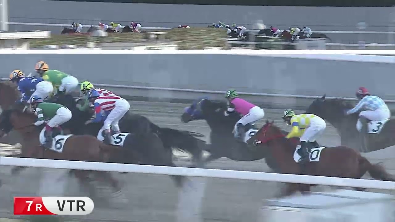 川崎競馬ダイジェスト（2025年1月3日）