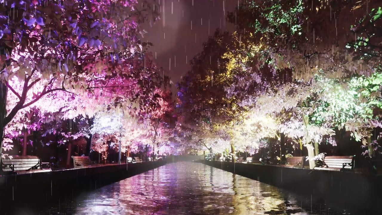 Sound of drizzling rain under the cherry blossom trees and the scenery of a spring night