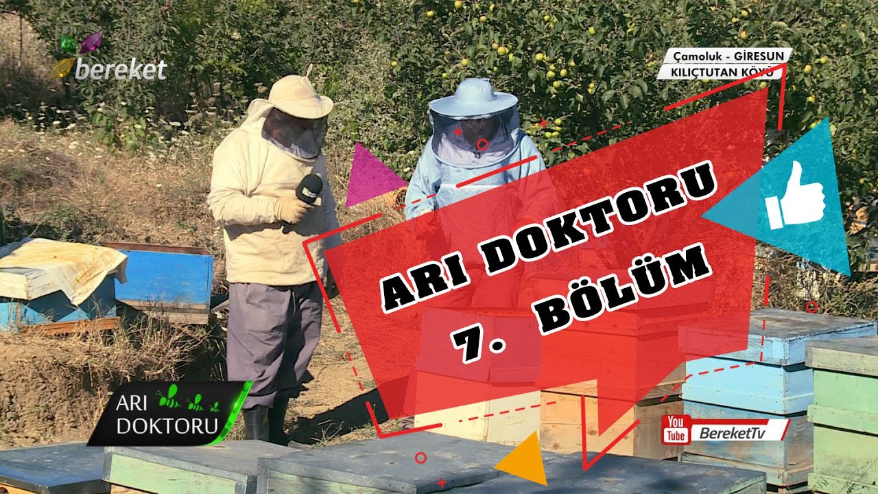 Arı Doktoru 7.  Bölüm | Giresun -  Çamoluk | Kılıç Tutan Köyü