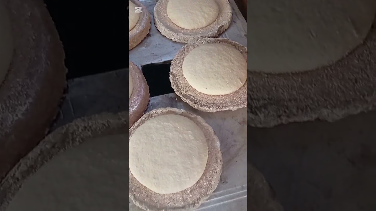 ٢٥ أكتوبر ٢٠٢٥