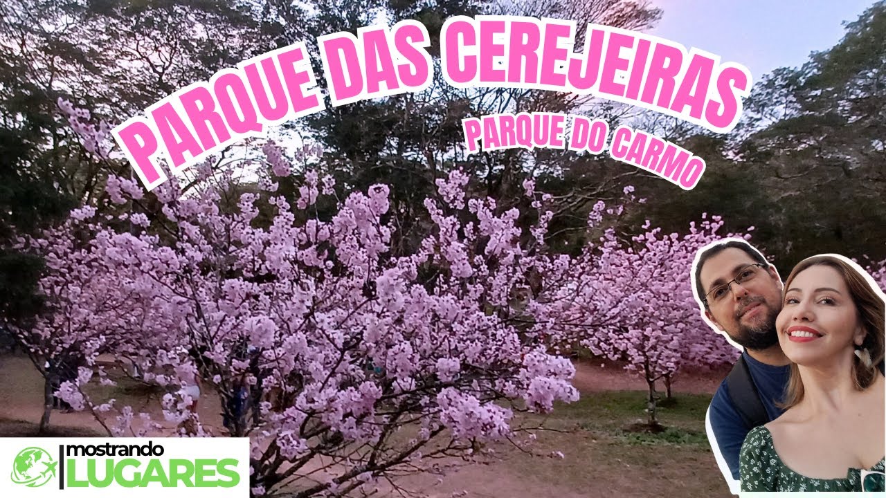 Festival das Cerejeiras no Parque do Carmo - Rolê inusitado no fim de tarde