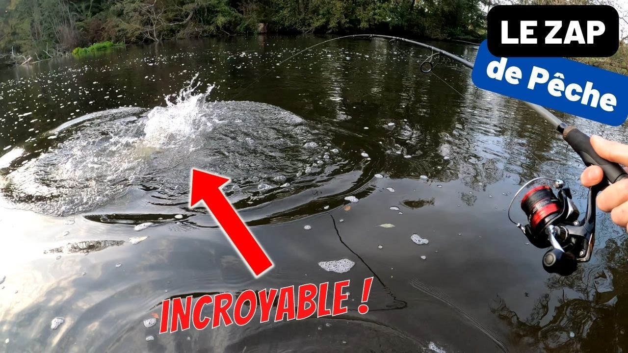 Les MEILLEURS moments de pêche de la saison 2022 ! [ZAP de pêche #3]