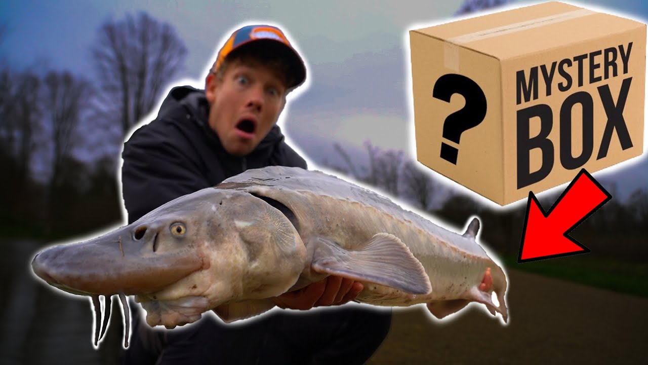 RARE BIJVANGST TIJDENS MYSTERYBOX CHALLENGE!