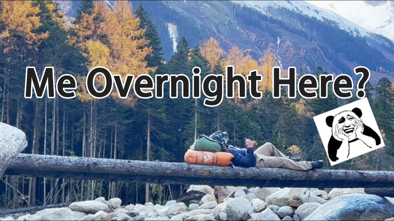 Overnight in the Himalayan Loneliest Forest – for the Beauty of World’s Highest Unclimbed Mountain