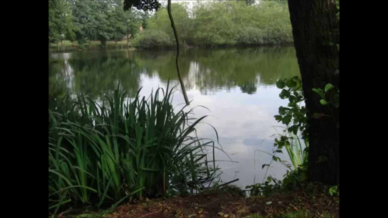 Thorsberger Moor