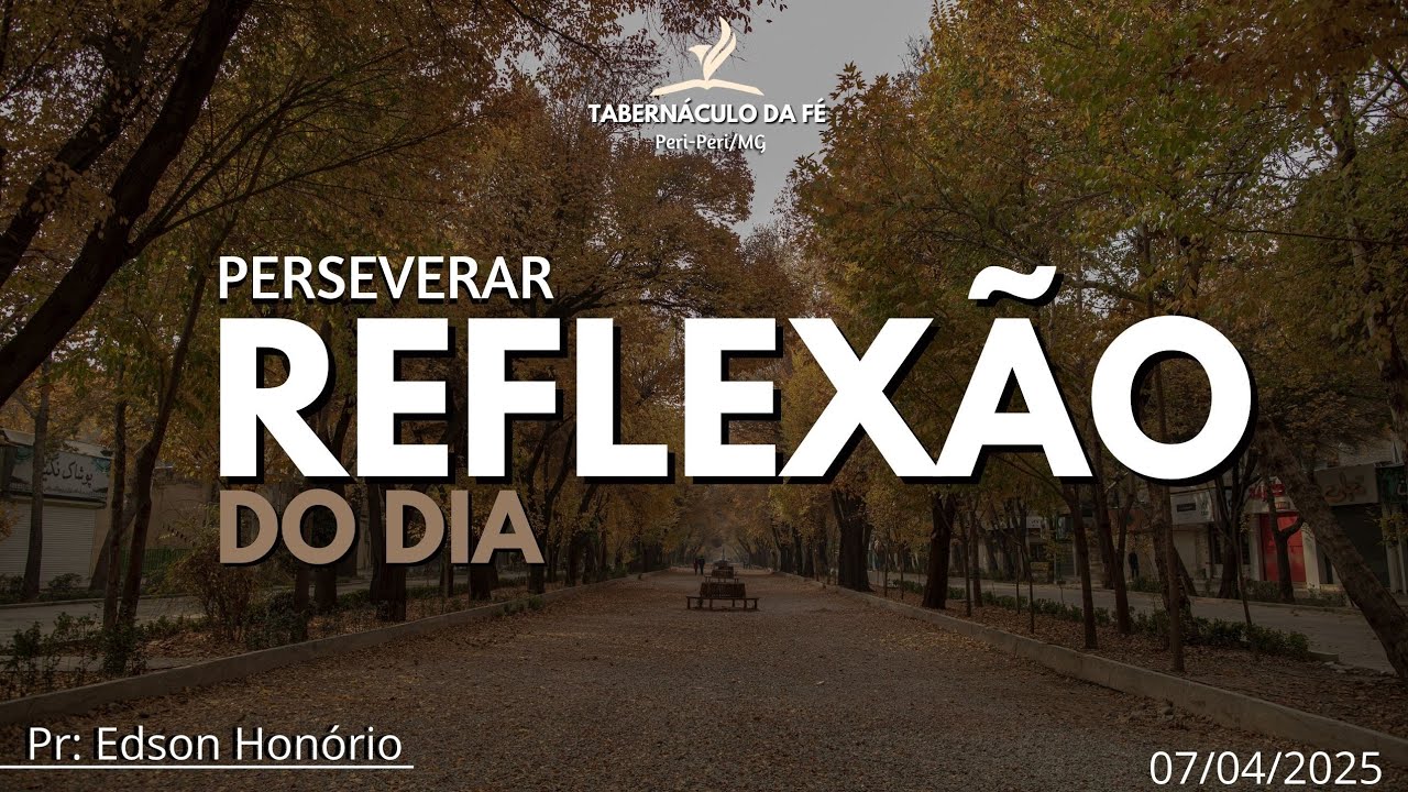 Reflexão do Dia | PERSEVERAR