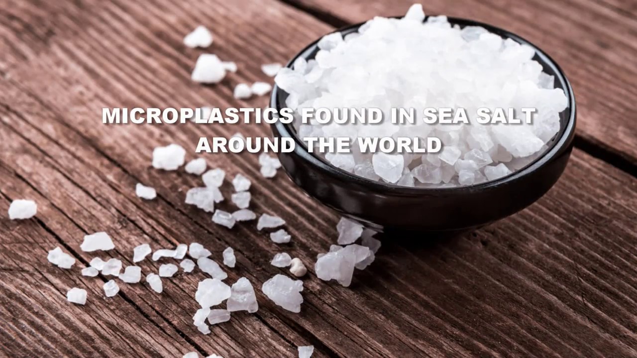 Microplastics Found in Sea Salt Around the World | greenversal