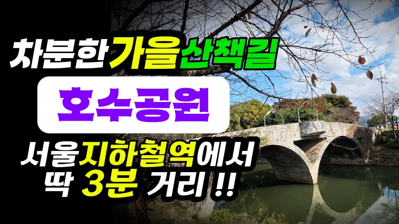 호수가 흙길 걸으며 가을을 즐기는 | 지하철 내리자마자 도심 속 이런 곳이? 장자호수공원 | 구리