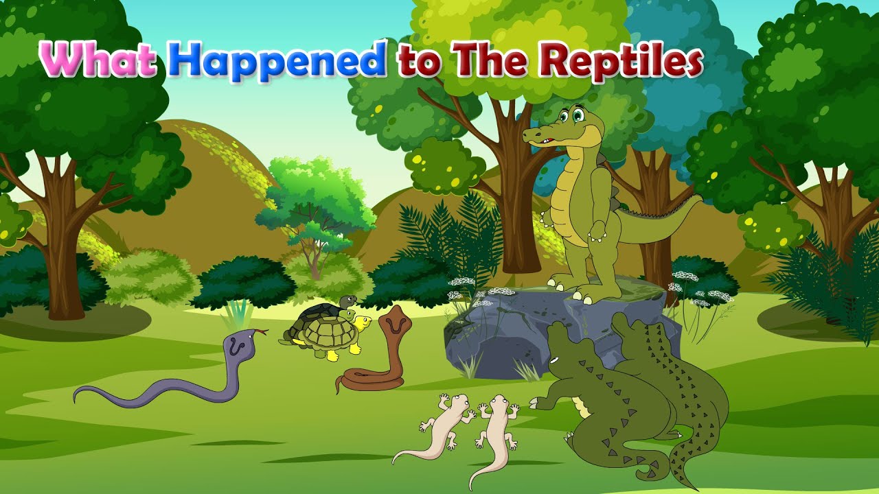 What Happened to The Reptiles? |  Seashore | Class 5