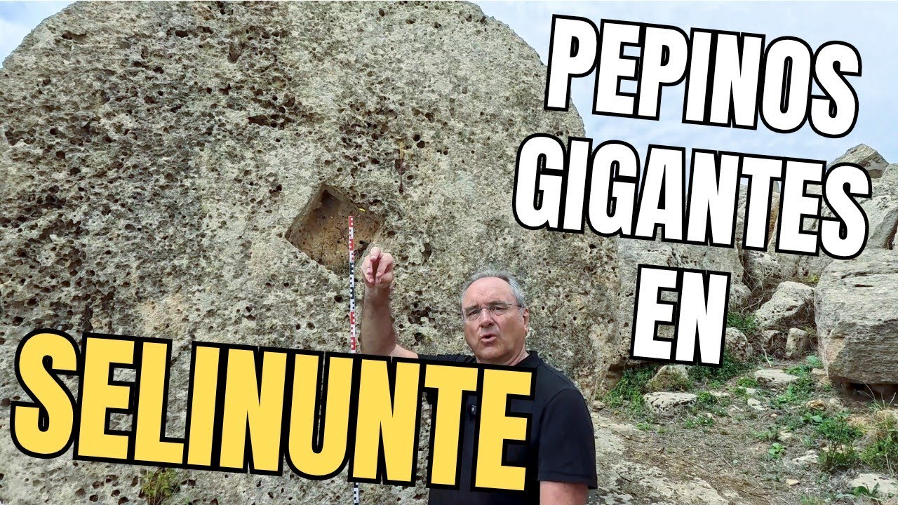 PEPINOS GIGANTES EN SELINUNTE