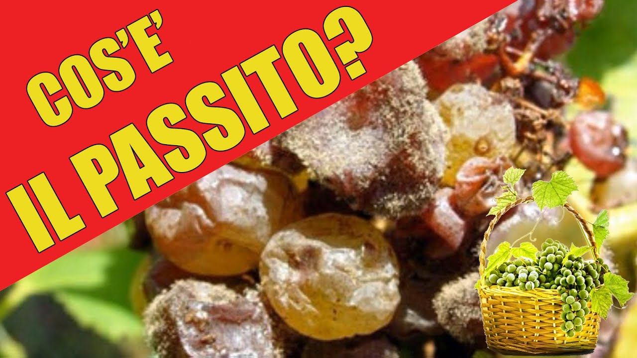 Che cos'&eacute; il vino passito?
