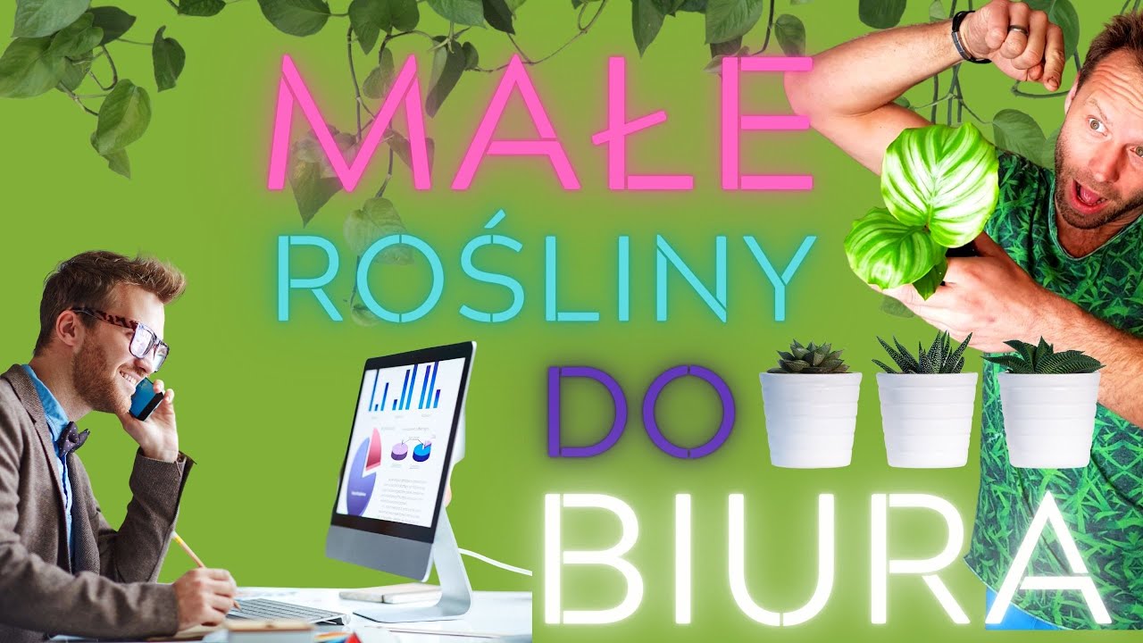 MINI ROŚLINY NA BIURKO w pracy