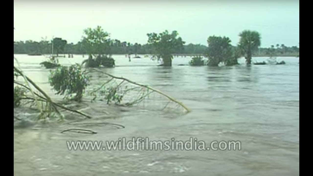 Port city of Paradip, Orissa felt the brunt of this wrath of mother nature