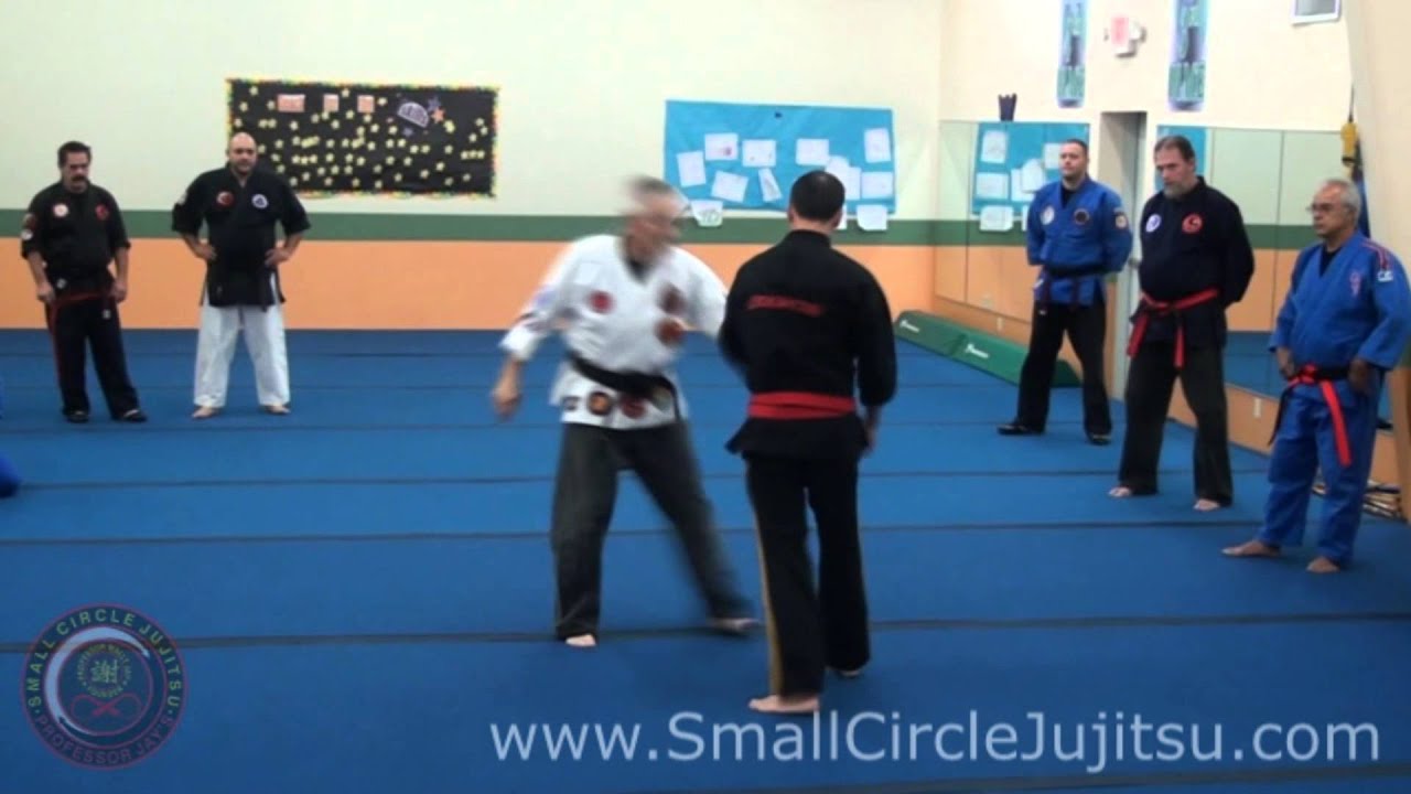 Small Circle Jujitsu - Leon Jay Teaching at Small Circle Jujitsu Camp 2013 (clip)