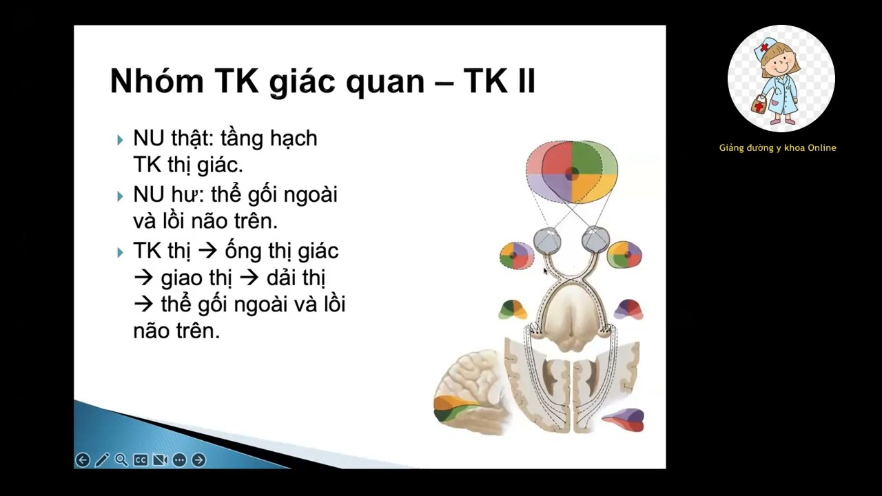 12 đôi dây thần kinh sọ | ThS. Võ Thành Nghĩa | Ôn thi CKI 2023