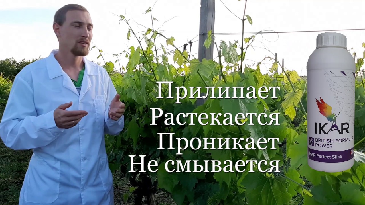 Икар Перфектстик - профессиональный активатор пестицидов и агрохимикатов