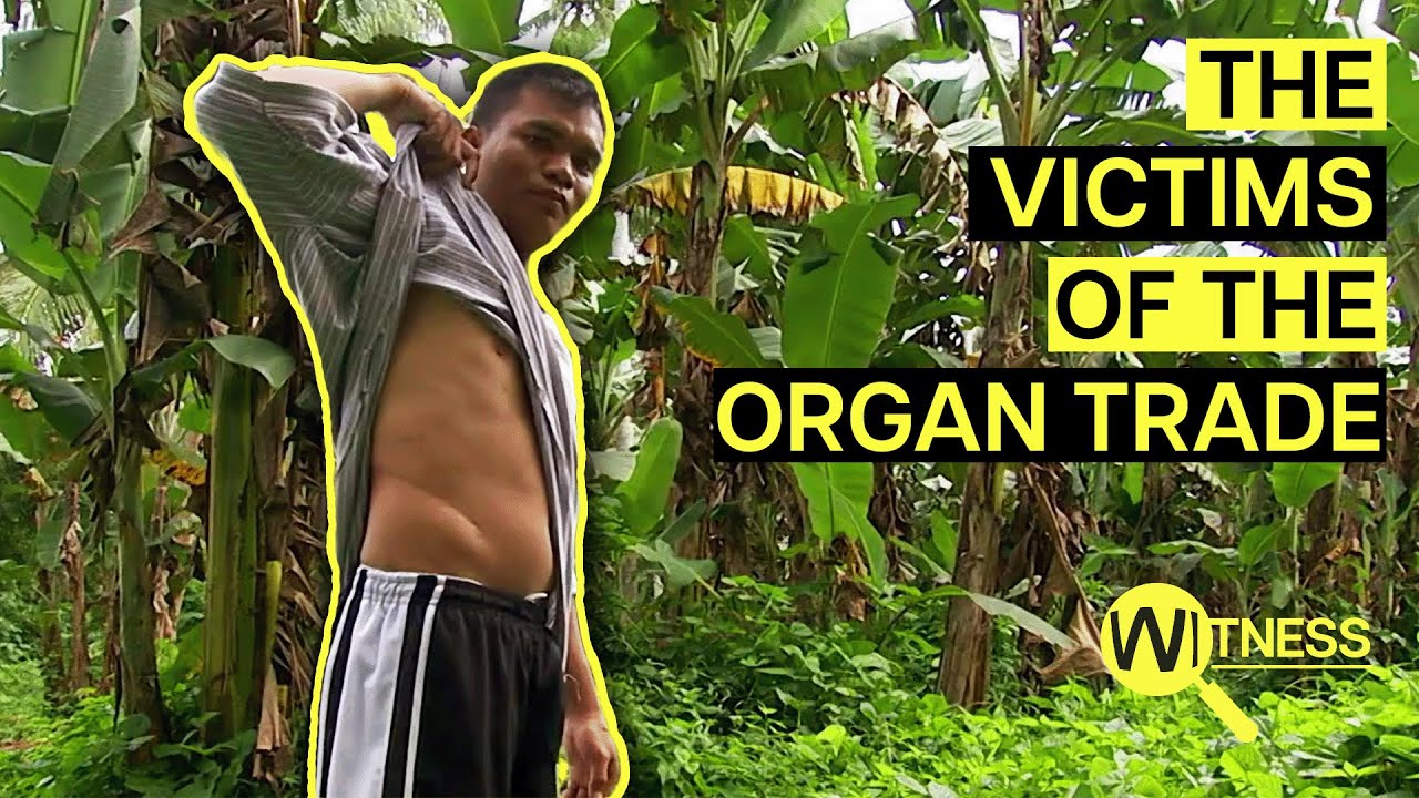 Organ Thieves: Inside the Dark World of Organ Trafficking | Organ Trade Documentary