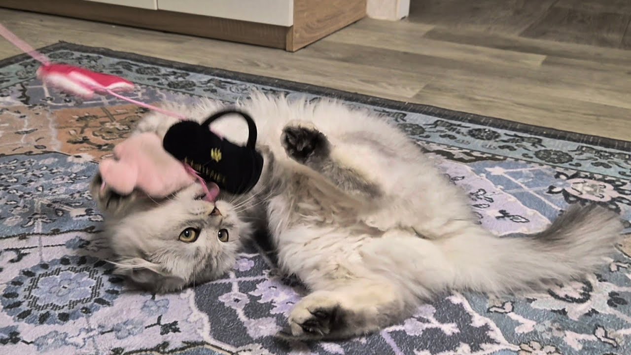 Что нашла Соня? 😊