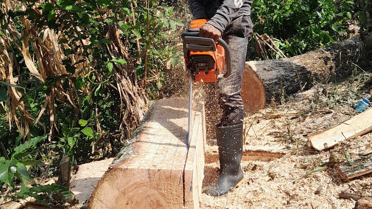 Aserrando tablas con Husqvarna 272xp