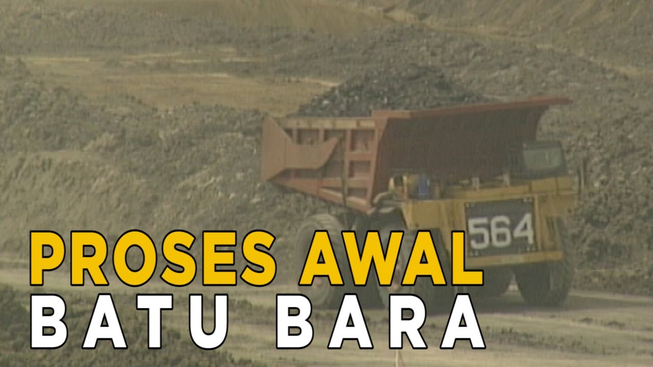 Inilah proses awal batu bara | JELAJAH