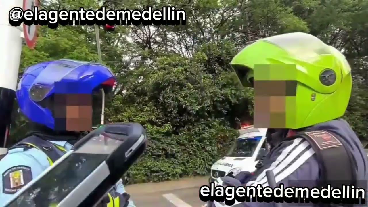 No tiene ni la culpa