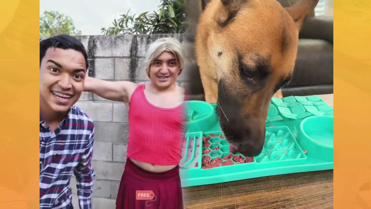 🤣👌👌👌2026 pov Must Watch Crazy Clips Compilation #humor #fypシ #pov #fyp #foryou 😍😜