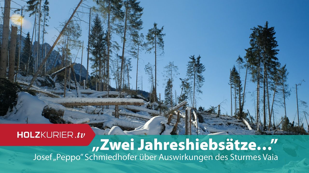Zwei Jahreshiebsätze
