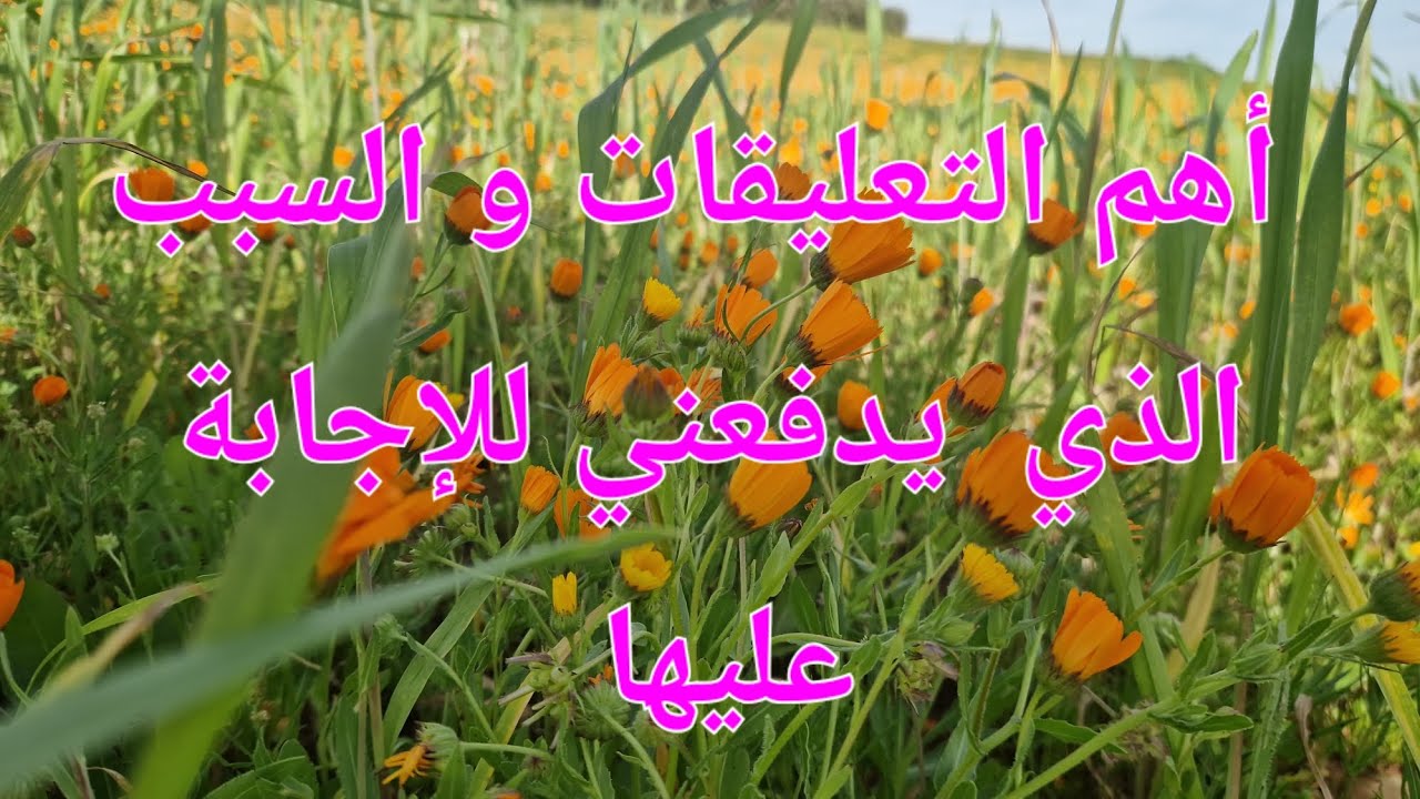 الحلقة 758.من تعليقاتكم أستفيد و من أجوبتي أفيدكم بما قدرني ربي عليه.